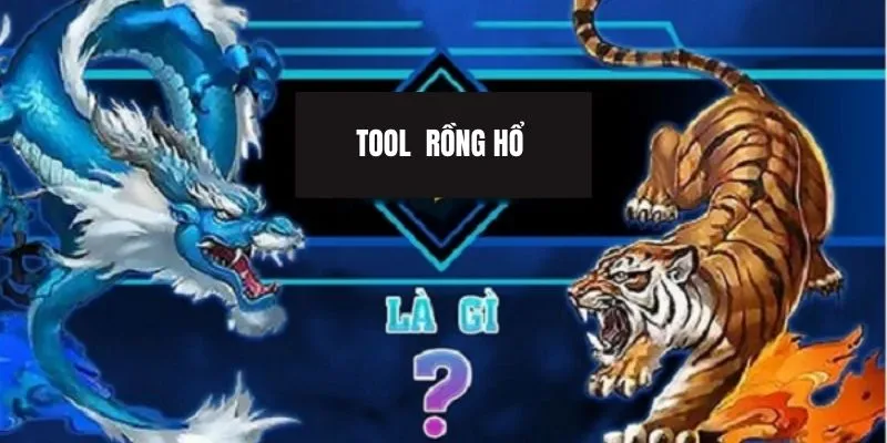 Như thế nào được gọi là tool rồng hổ?